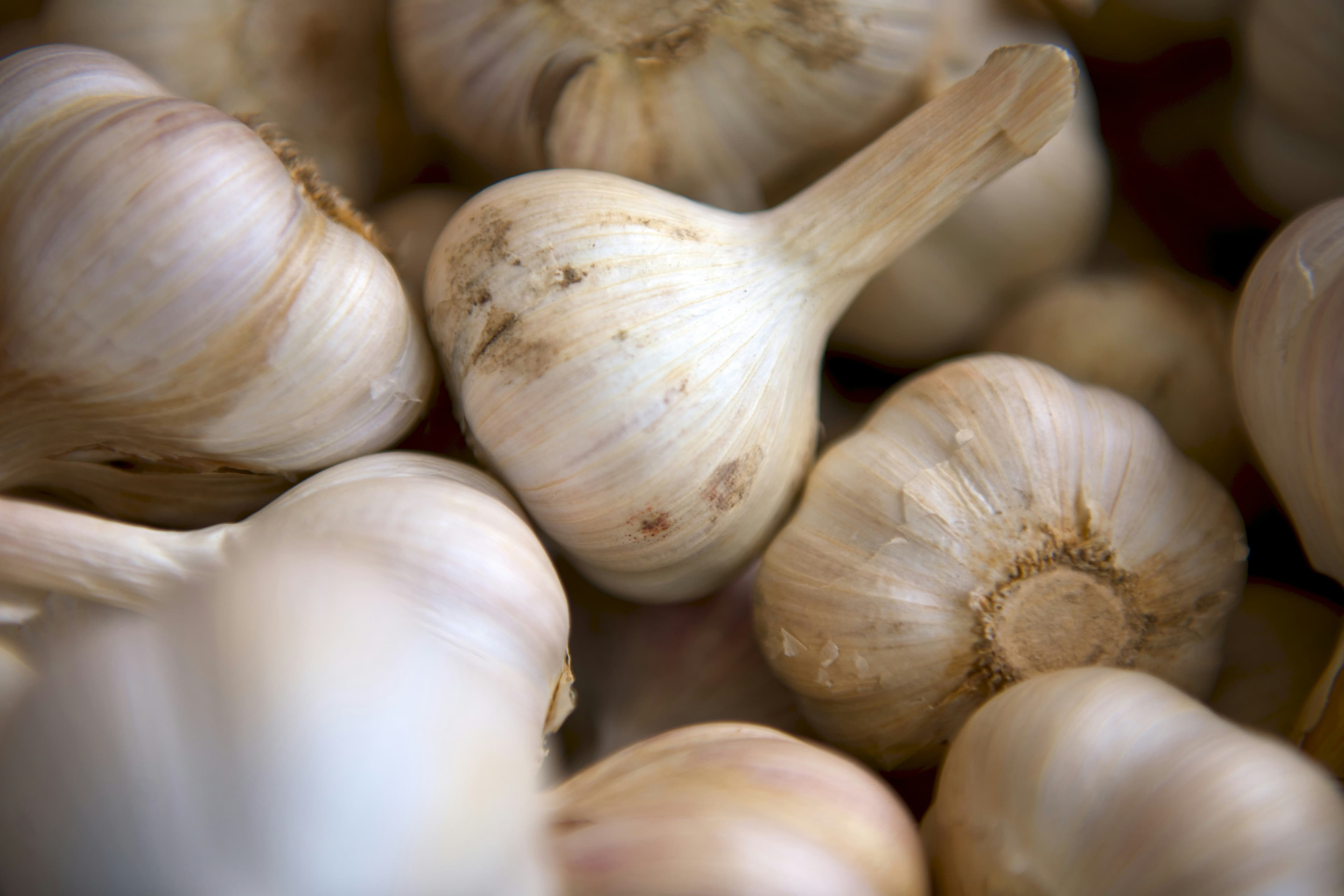 Minced Garlic